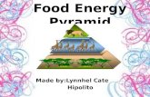 chmsc lab. school science 6 - food energy pyramid