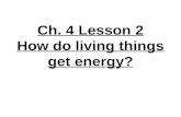 3rd Grade-Ch. 4 Lesson 2 How do living things get energy