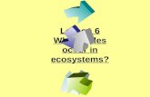 5th Grade-Ch. 5 Lesson 6 What Cycles Occur In Ecosystems