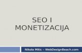 Nikola Mitić - Seo i monetizacija