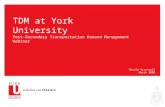 York University TDM Programs