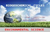 Biogeochemical Cycles/Environmental Science