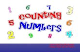 COUNTING NUMBERS