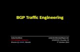 BGP Traffic Engineering / Routing Optimisation