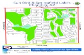 Sun Bird / Springfield Lakes - Chandler Az  Retirement Community