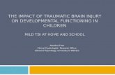 The Impact of Traumatic Brain Injury on Developmental Functioning in Children: Mild TBI at Home and School