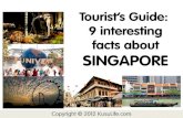 Tourist’s guide   9 interesting facts about singapore