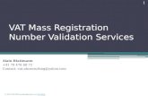Vat mass validation services
