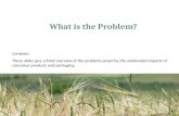 2 What is the problem (Short Version)