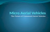 Micro Unmanned Aerial Vehicles (MAVs)