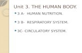 Unit 3 3a nutrition