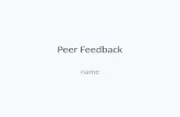 Peer feedback(1)