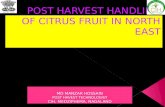 Post harvest handling of citrus fruit in north east India