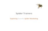 Spider Marketing