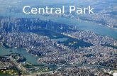 Eeuu Central Park