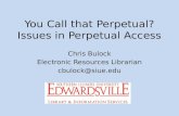 You Call That Perpetual? Issues in Perpetual Access