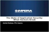 The State of Application Security: What Hackers Break