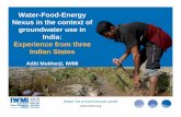 Water-Food-Energy Nexus in the context of groundwater use in India: Experience from three Indian States