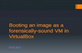 Booting an image as a forensically sound vm in virtual box