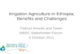 Irrigation agriculture in Ethiopia: Benefits and challenges