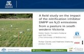 A field study on the impact of the nitrification inhibitor DMPP on nitrous oxide emissions from pasture - Helen Suter
