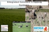 Integrated livestock cropping systems 