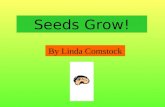 Seeds grow