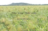 The Year That Was -  A Carbon Farmer's Journey
