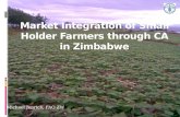 Market integration of small holder farmers through CA in Zimbabwe michael jenrich