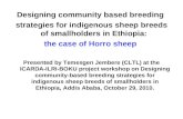 Designing community based breeding strategies for indigenous sheep breeds of smallholders in Ethiopia: The case of Horro sheep