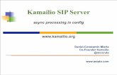 Aynchronous Processing in Kamailio Configuration File