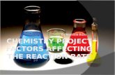 factors affecting the reaction rate