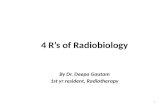 4 rs of radiobiology