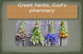 Greek Herbs, God's pharmacy