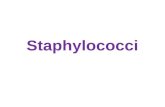 Staphylococci - Prac. Microbiology