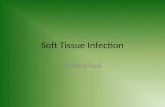 Seminar 4   soft tissue infection