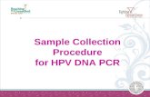Hpv Sample Collection Procedure