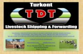 Livestock shipping and forwarding