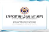 ICAI\'s Capacity Building Initiative
