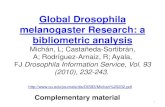 Global drosophila