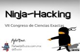 Ninja hacking