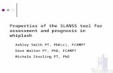 Properties of the S-LANSS Tool for Assessment