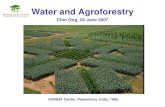Water And Agroforestry   Chin (Nxpowerlite)