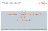 Hermès in Brazil - Country Risk course at Skema Business School, Raleigh