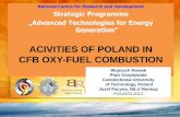 Activities of Poland in Oxy Combustion