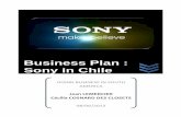 Business Plan: Sony in Chile, June 2012