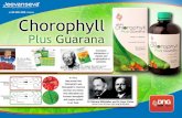 Chlorophyll plus guarana - Presentation