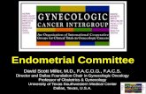 Endometrial Committee General Assembly report - David Miller