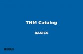 TNM Catalog Basics.ppt