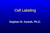 Red blood celllabeling (1)
